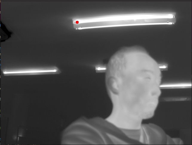_images/ir_cam_grayscale.png